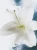 aW1hZ2U9L2dhbGxlcnktcGhvdG9zL1U4R2pmZzkzQzA0Q08ySTJKTGUwWUFFOWljQURGclZGLmpwZyZ3aWR0aD01ODY=.webp
