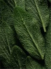aW1hZ2U9L2dhbGxlcnktcGhvdG9zL2kzalhLVjhZaEVPc3lMUGRJckl0N2lNa2NONERCdzBMLmpwZWcmd2lkdGg9NTg2.webp